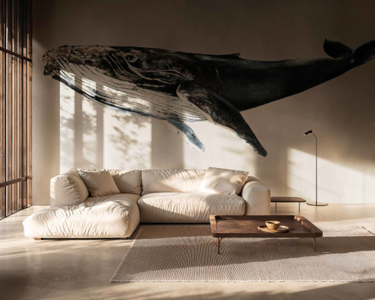 Coordonne Papier peint panoramique Humpback Whale
