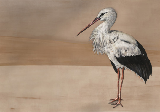 Coordonne Papier peint panoramique Stork Mother - Nude