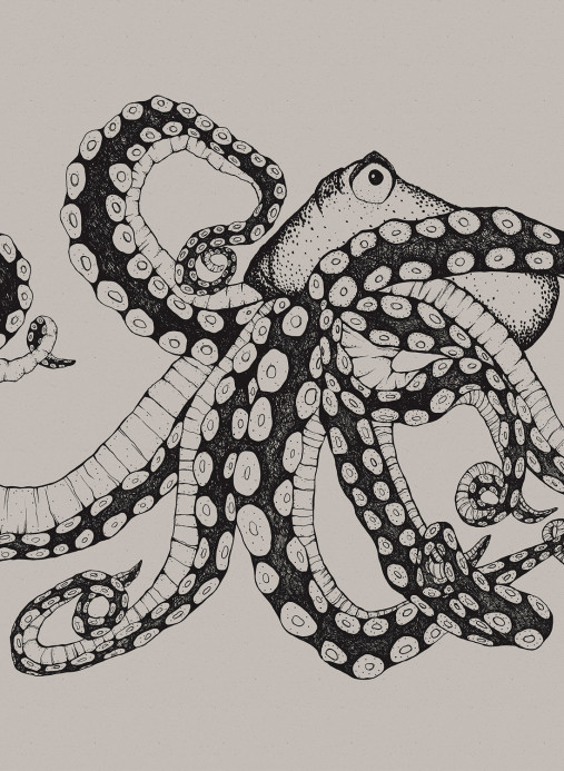 Coordonne Papier peint panoramique Octopus X-Ray - Ink