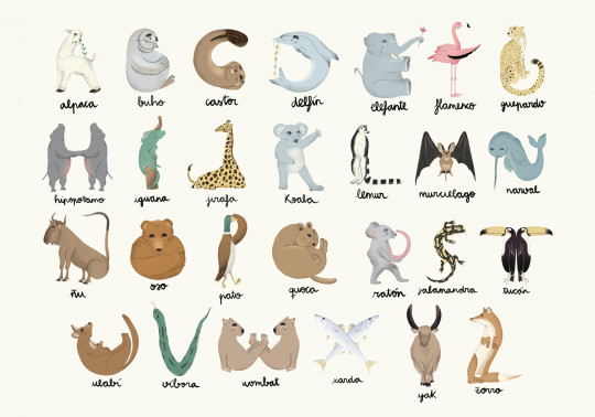 Coordonne Mural Animal Alphabet - Multi