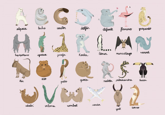 Coordonne Wandbild Animal Alphabet - Pinky