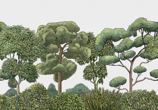 Coordonne Mural Green Forest