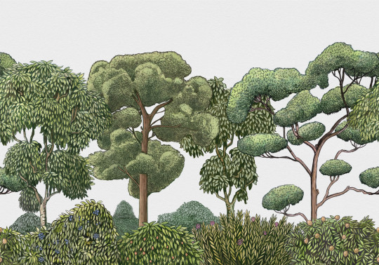 Coordonne Papier peint panoramique Green Forest - Natural
