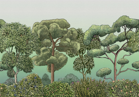 Coordonne Mural Green Forest