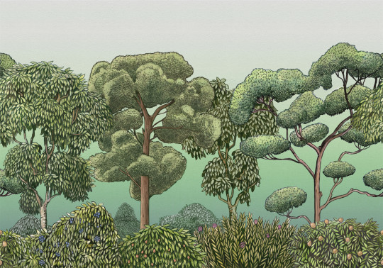 Coordonne Mural Green Forest - Dew