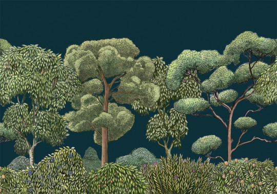 Coordonne Papier peint panoramique Green Forest - Midnight