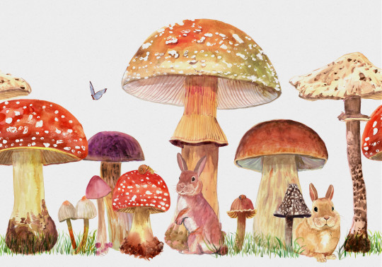 Coordonne Mural Sweet Forest