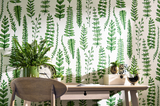 Scion Wallpaper Ferns - Juniper