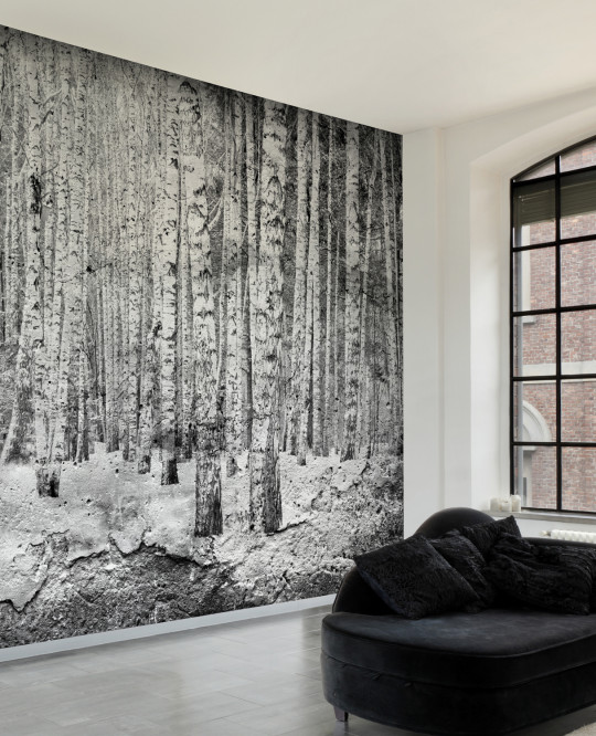 Coordonne Papier peint panoramique Broken Forest