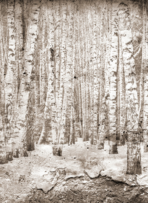 Coordonne Wandbild Broken Forest - Sepia