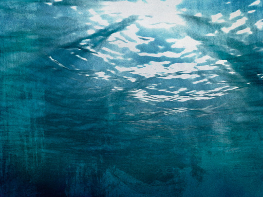 Coordonne Wandbild Underwater