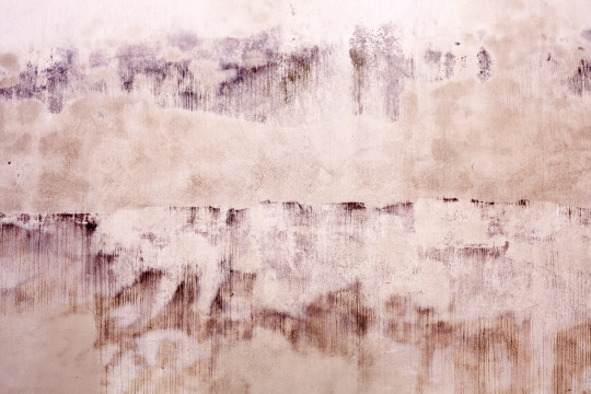 Coordonne Papier peint panoramique Pink Old Wall