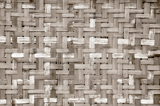 Coordonne Wandbild Palm Tree Frame - Sepia