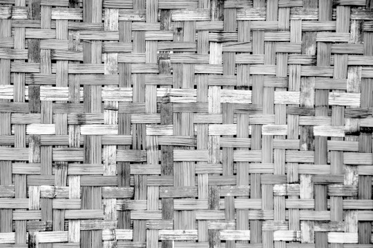 Coordonne Wandbild Palm Tree Frame - Grey