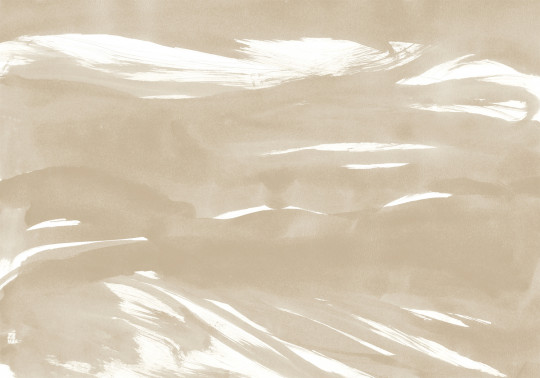Coordonne Papier peint panoramique Marine Xray - Dune