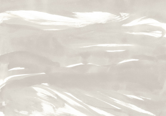 Coordonne Papier peint panoramique Marine Xray - Ice