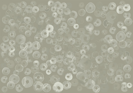 Coordonne Wandbild Cellular Patterns - Quartz