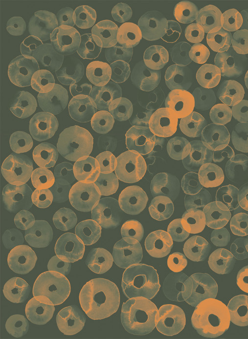 Coordonne Wandbild Cellular Patterns - Amber
