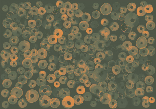 Coordonne Wandbild Cellular Patterns - Amber