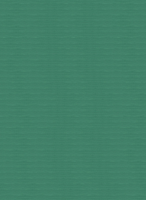 Arte International Papier peint Line - Malachite/ Green