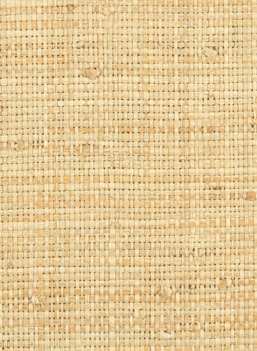 Elitis Wallpaper Cesteria - RM 1017 03