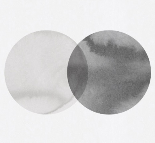 Rebel Walls Wandbild Eclipse - Graphite