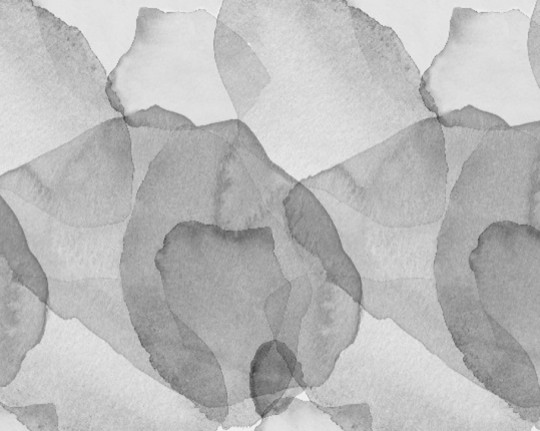 Rebel Walls Wandbild Petals - Graphite
