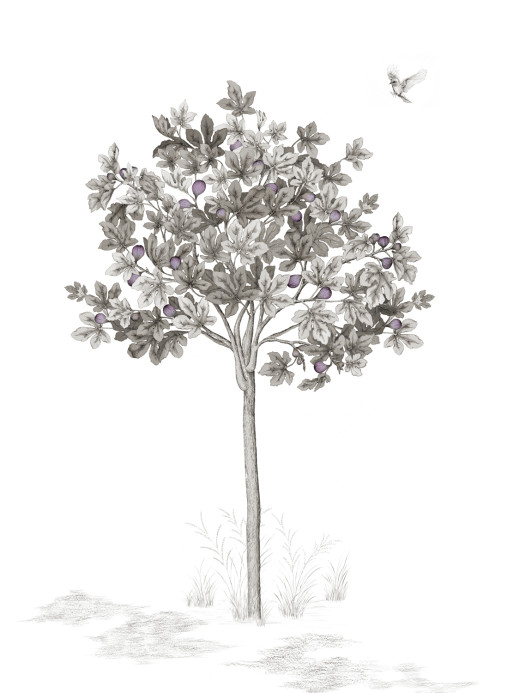 Isidore Leroy Papier peint panoramique Arbustes Gris - Figuier