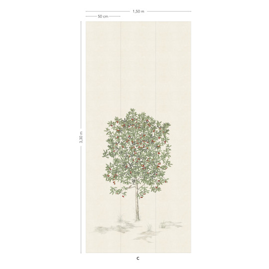 Isidore Leroy Papier peint panoramique Arbustes Naturel - Arbousier