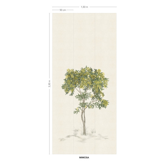 Isidore Leroy Papier peint panoramique Arbustes Naturel - Mimosa
