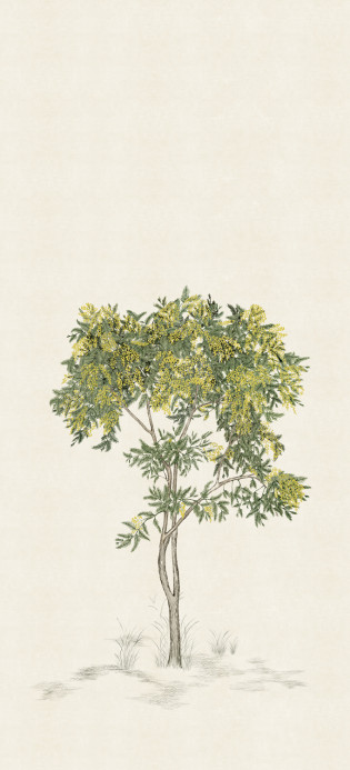 Isidore Leroy Carta da parati panoramica Arbustes Naturel - Mimosa