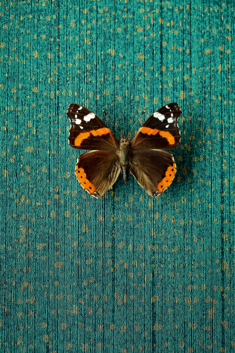 Eijffinger Tapete Unify 10