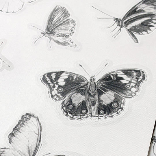Sian Zeng Adesivo murale Butterfly  - Grey