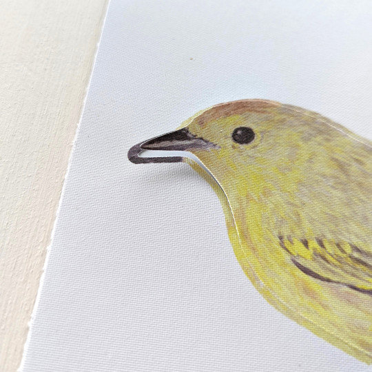 Sian Zeng Wall Decal Warbler Bird - Yellow