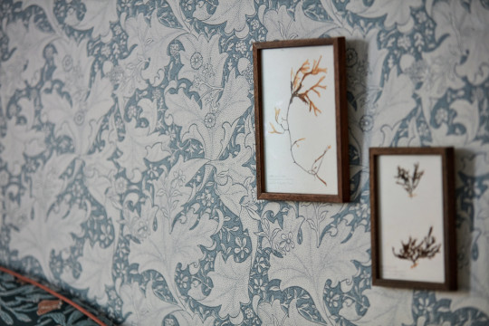 Morris & Co Tapete Wallflower - Woad Blue
