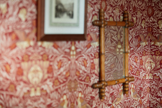Morris & Co Tapete Bird - Madder/ Weld