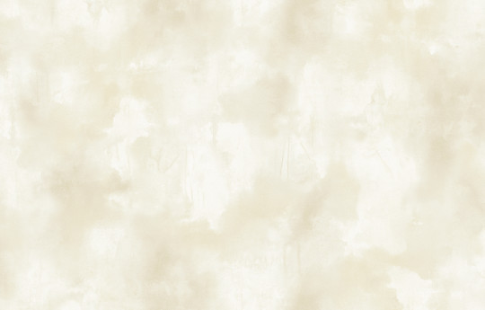 Elitis Wallpaper Agrigente - VP 960 01