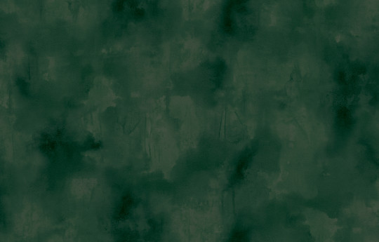 Elitis Wallpaper Agrigente - VP 960 61