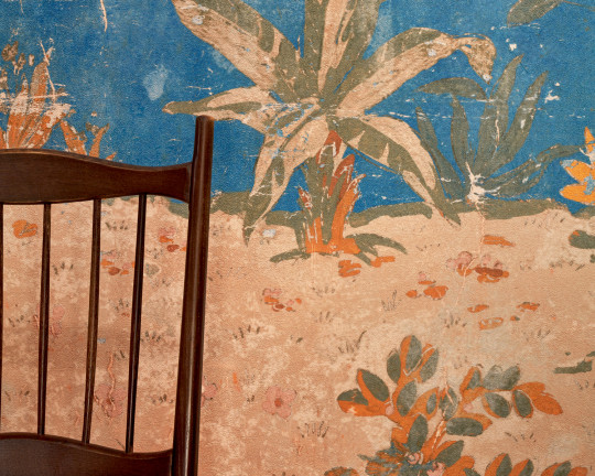 Elitis Mural Retour des Indes