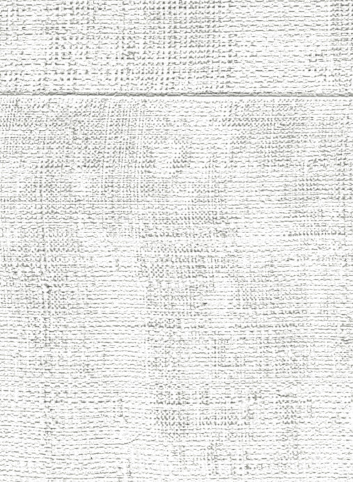 Elitis Wallpaper Atelier d'Artiste - VP 880 01