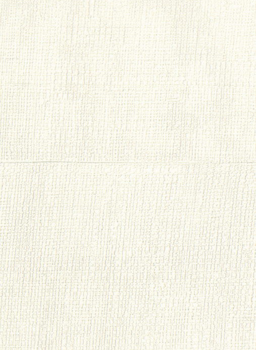 Elitis Wallpaper Atelier d'Artiste - VP 880 90