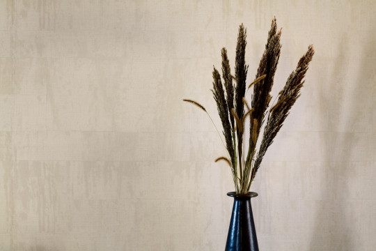 Elitis Wallpaper Atelier d'Artiste - VP 880 92