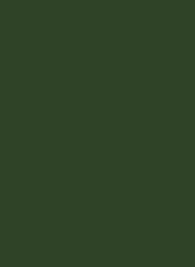 Little Greene Absolute Matt Emulsion - Dark Brunswick Green 88 - 0,25l