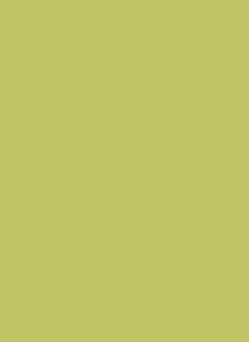 Farrow & Ball Dead Flat Archiv colour - Acid Drop 9908 - 2,5l