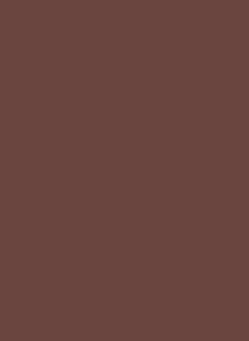 Farrow & Ball Dead Flat Archivton - Deep Reddish Brown W101 - 5l