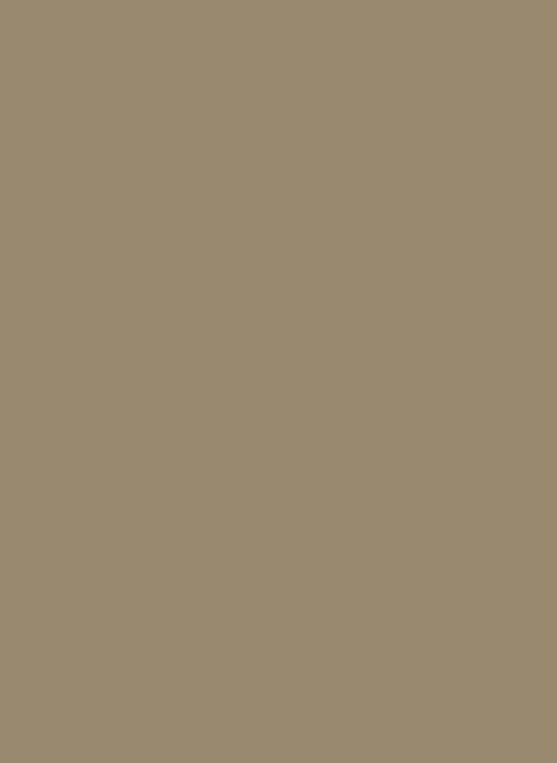 Farrow & Ball Dead Flat Archivton - Drab 41 - 5l