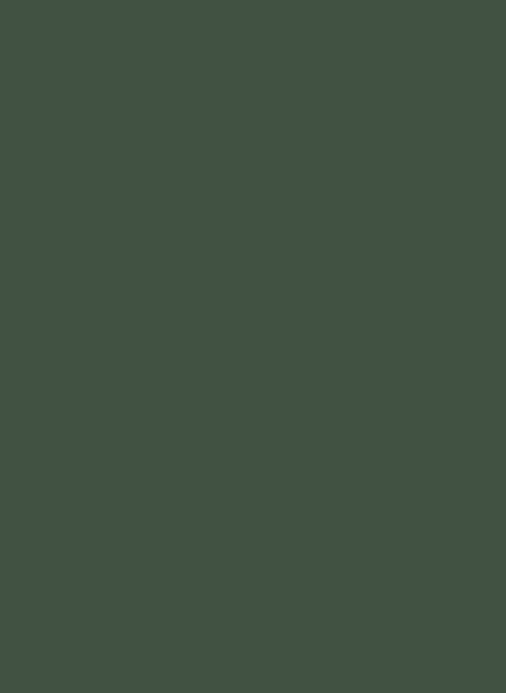 Farrow & Ball Exterior Eggshell Archive Colour - Duck Green W55 - 0,75l