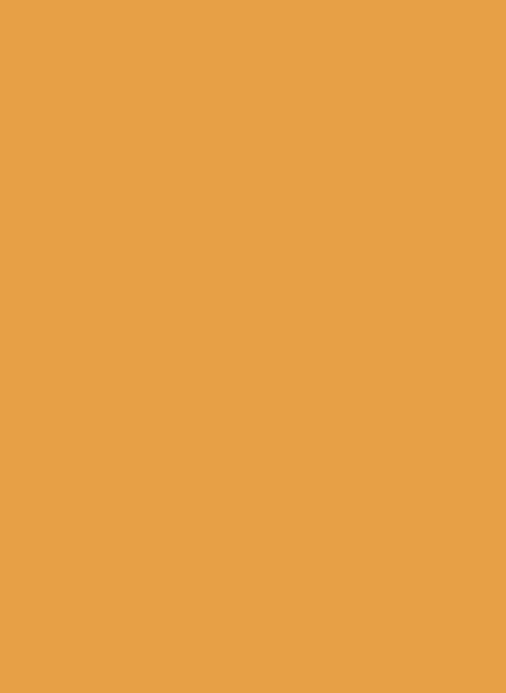 Farrow & Ball Modern Eggshell Archive Colour - Dutch Orange W76 2,5l