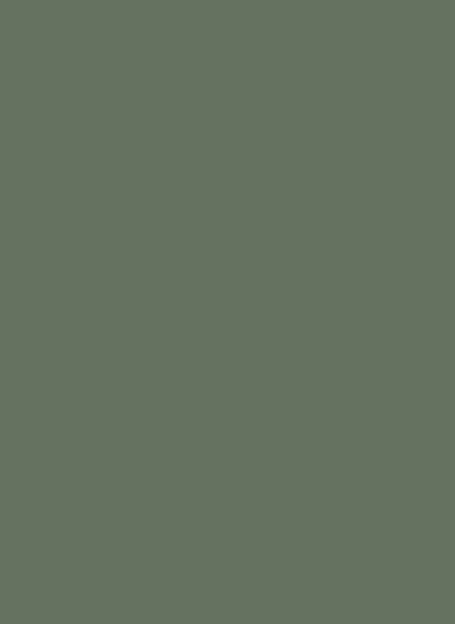 Farrow & Ball Dead Flat Archivton - Dyrehaven 9819 - 0,75l