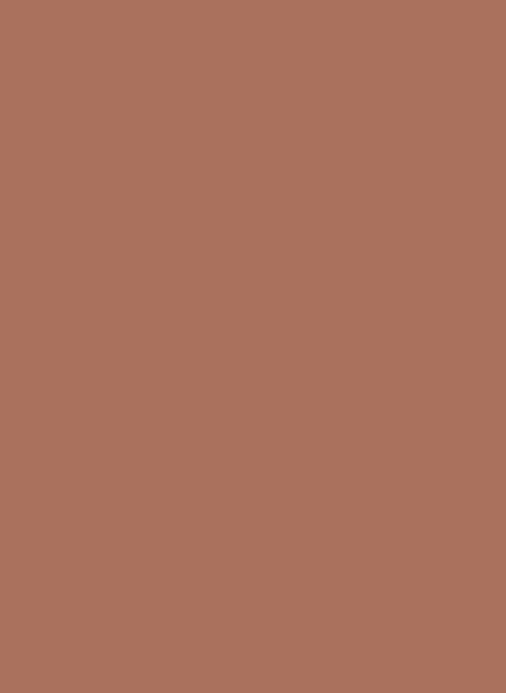 Farrow & Ball Casein Distemper Archive Colour - Fox Red 48 - 2,5l